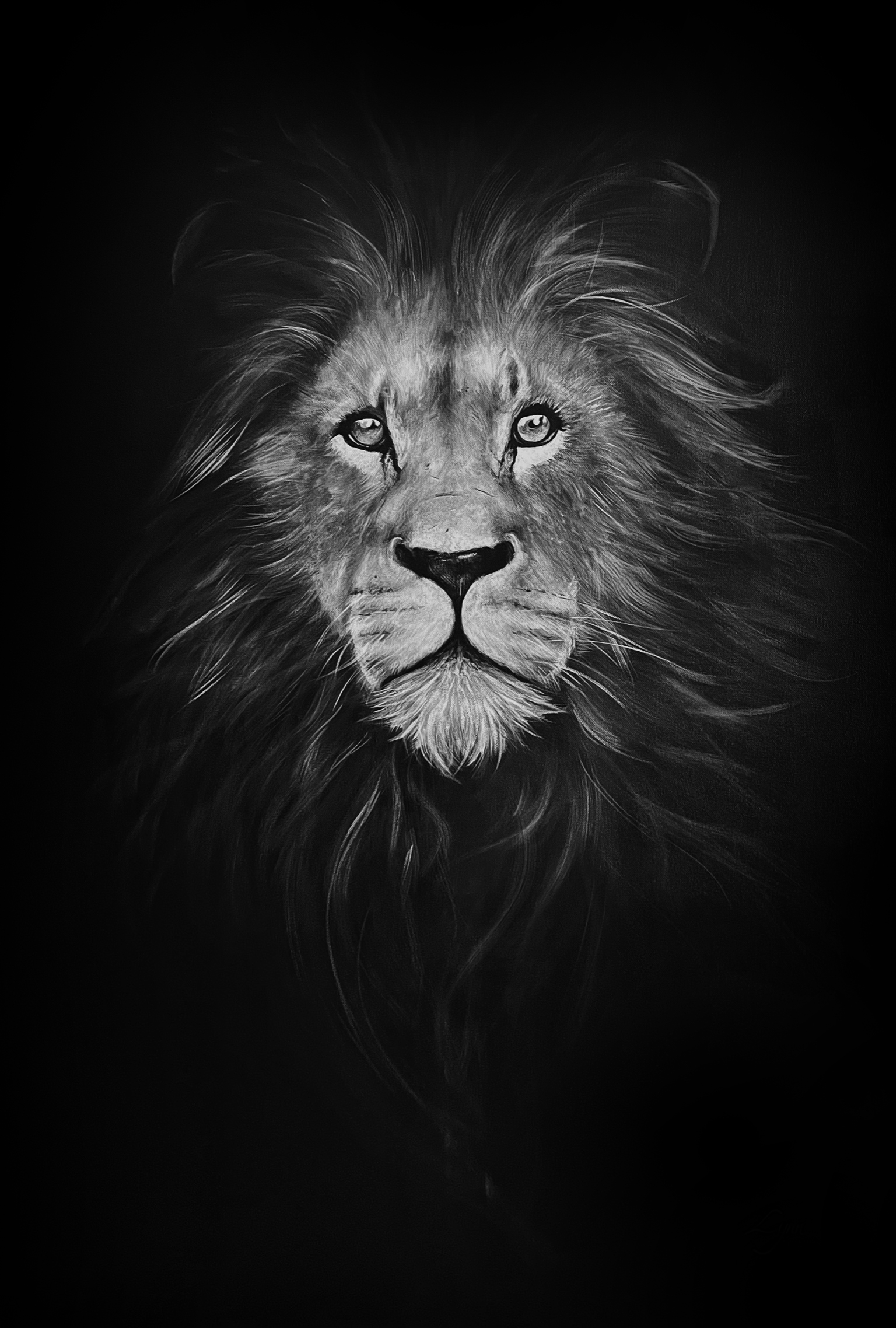 Lion, 116x81cm ND