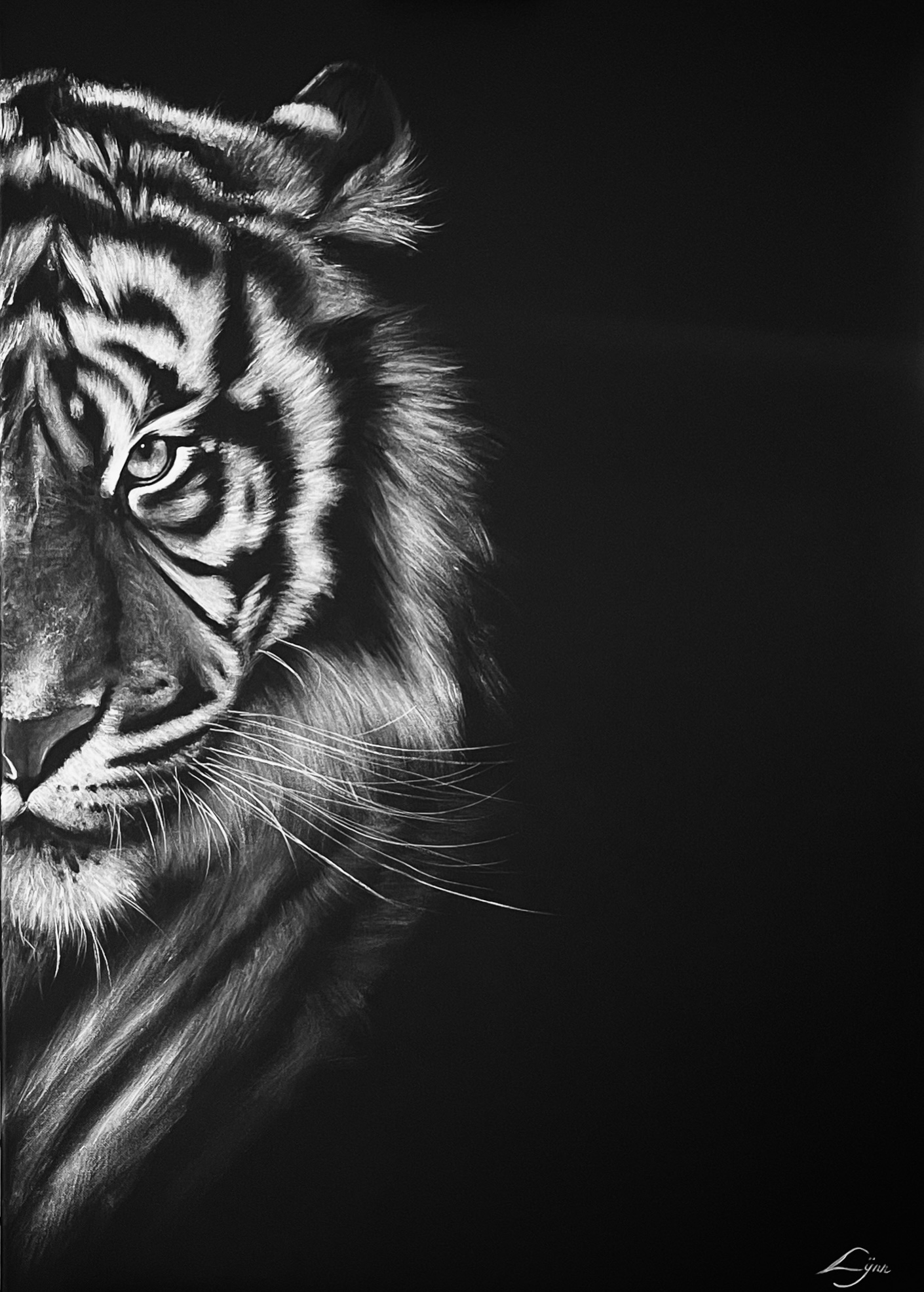 L'œil du tigre, 100x73cm