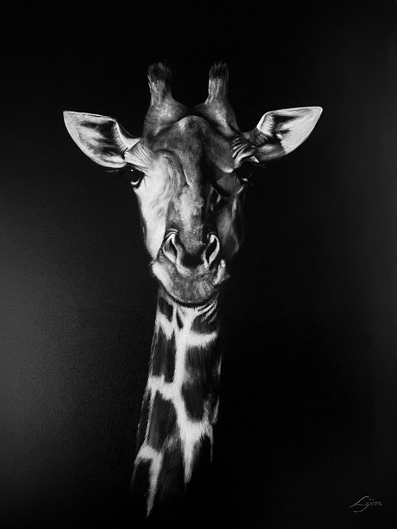 Petite girafe, 61x46cm ND