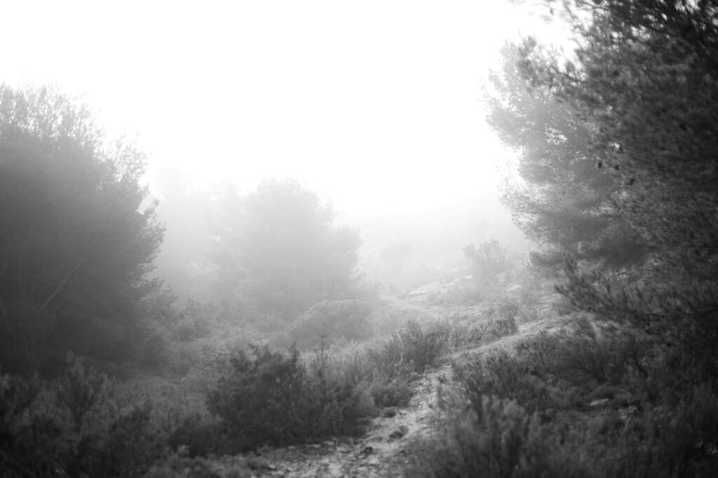 brouillard2