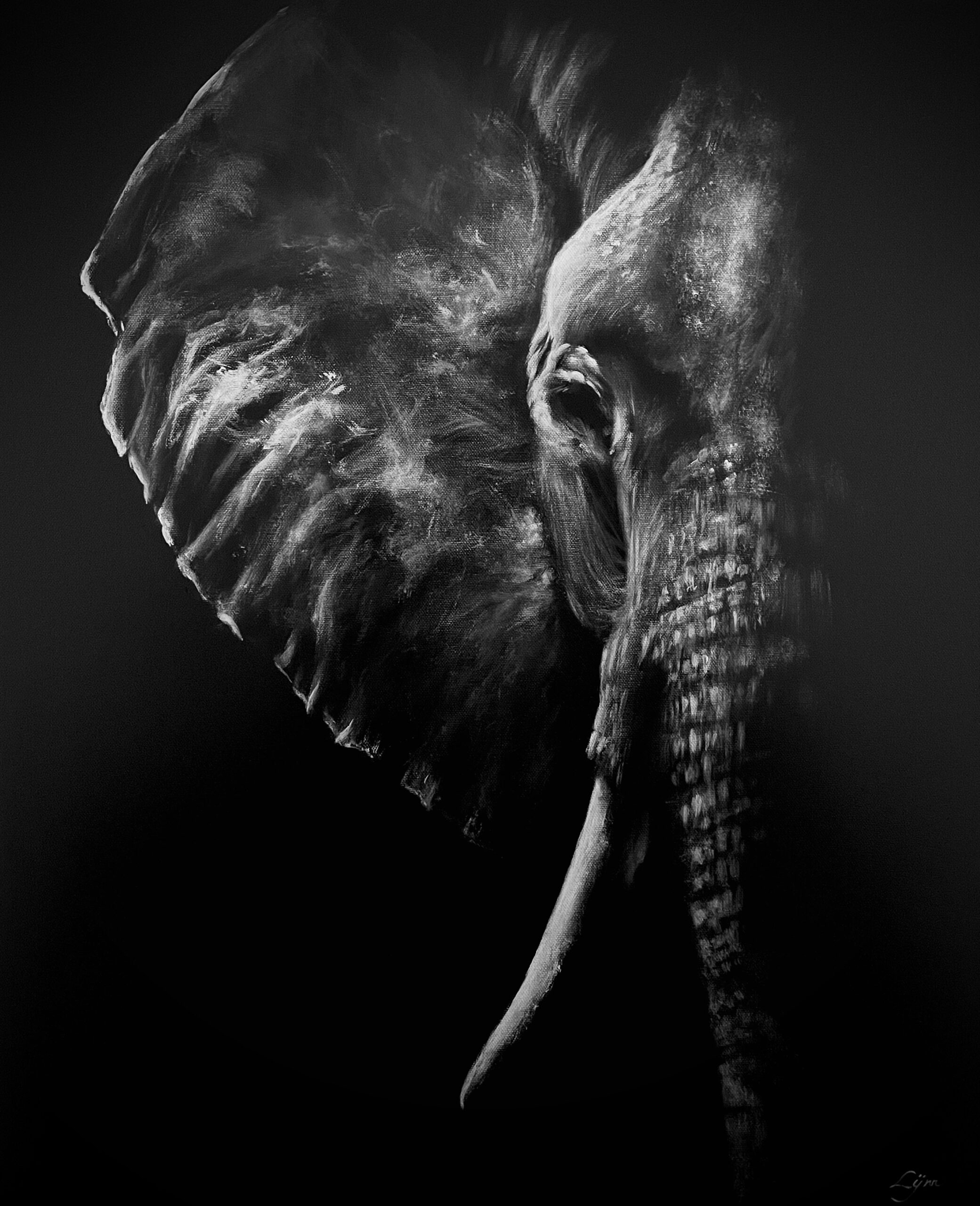 Elephant, 61x50cm