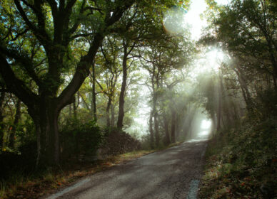 Artigues, village d&rsquo;adoption